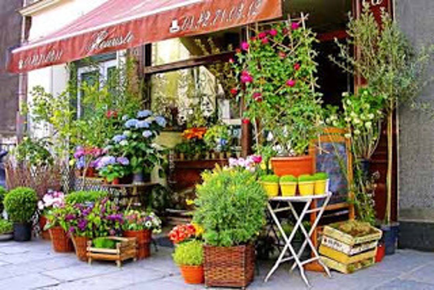 <p>floristería</p>