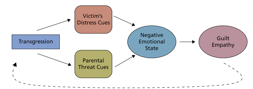 <p>Pathway is disrupted b/c people psychopathic traits show reduced autonomic responses to the distress of others &amp; reduced recognitions of sad/fearful expressions → <strong>less responsive to parental socialization practices</strong></p><p><strong>w/o emotional response</strong> they will <strong>not </strong>learn to <strong>inhibit behaviours</strong></p>