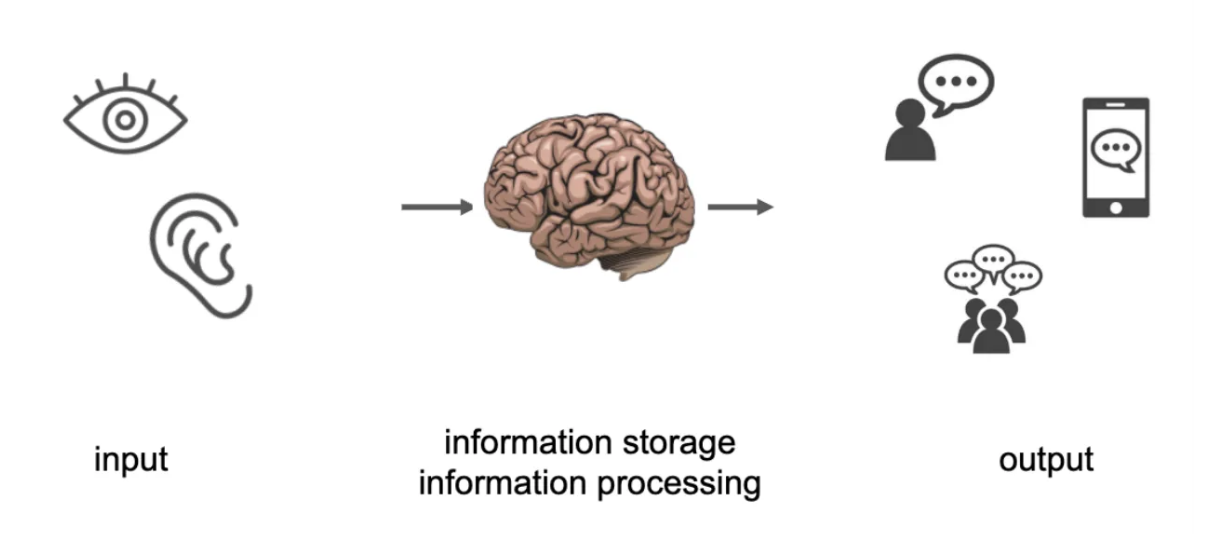 <p>The <strong>computer as a metaphor for the brain</strong> suggests that the brain processes information similarly to how a computer does. In this analogy:</p><ul><li><p><strong>Input</strong>: Information enters the brain through <strong>perception</strong>, such as what we see, hear, or sense from the environment (like data being entered into a computer).</p></li><li><p><strong>Processing</strong>: The brain processes this information, storing it in <strong>memory</strong> and thinking about it (similar to how a computer processes data and stores it in memory).</p></li><li><p><strong>Output</strong>: The brain then produces an <strong>output</strong>, such as language, behavior, or actions (like a computer generating a response or result).</p></li></ul><p></p>