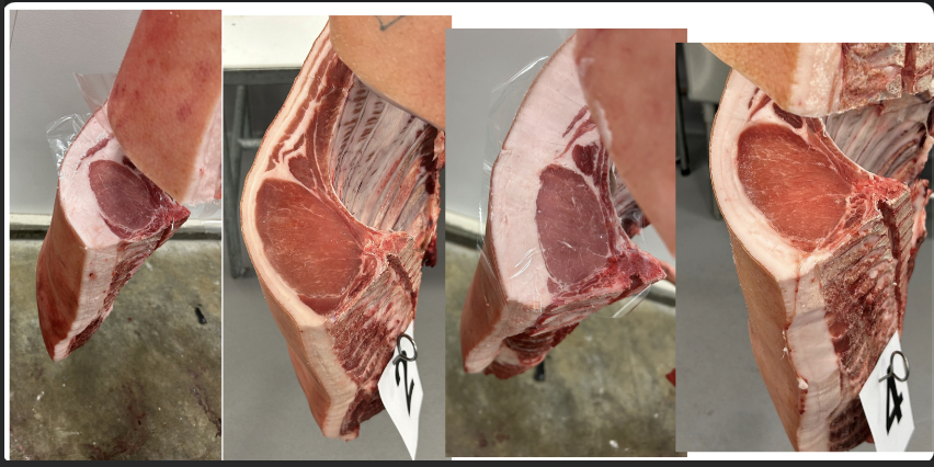 <p>Rank the carcasses</p>