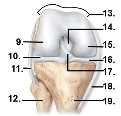 <p>Name structure 12</p>