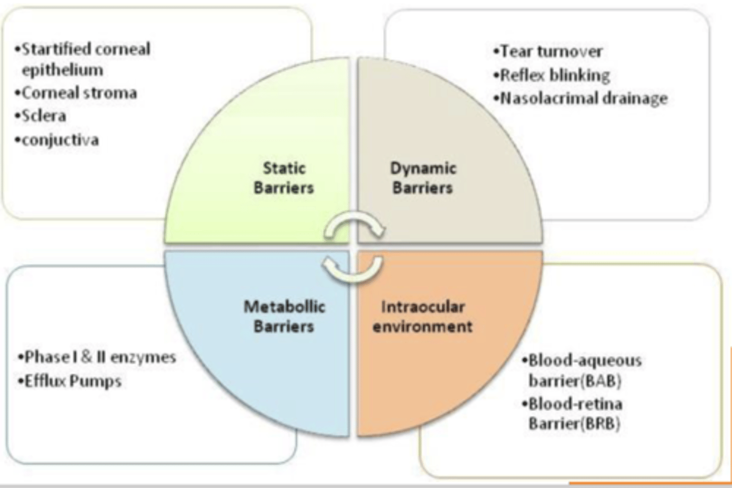<p>- tear turnover</p><p>- reflex blinking</p><p>- nasolacrimal drainage</p>
