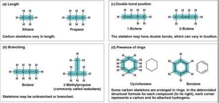 <p>Carbon chains</p>
