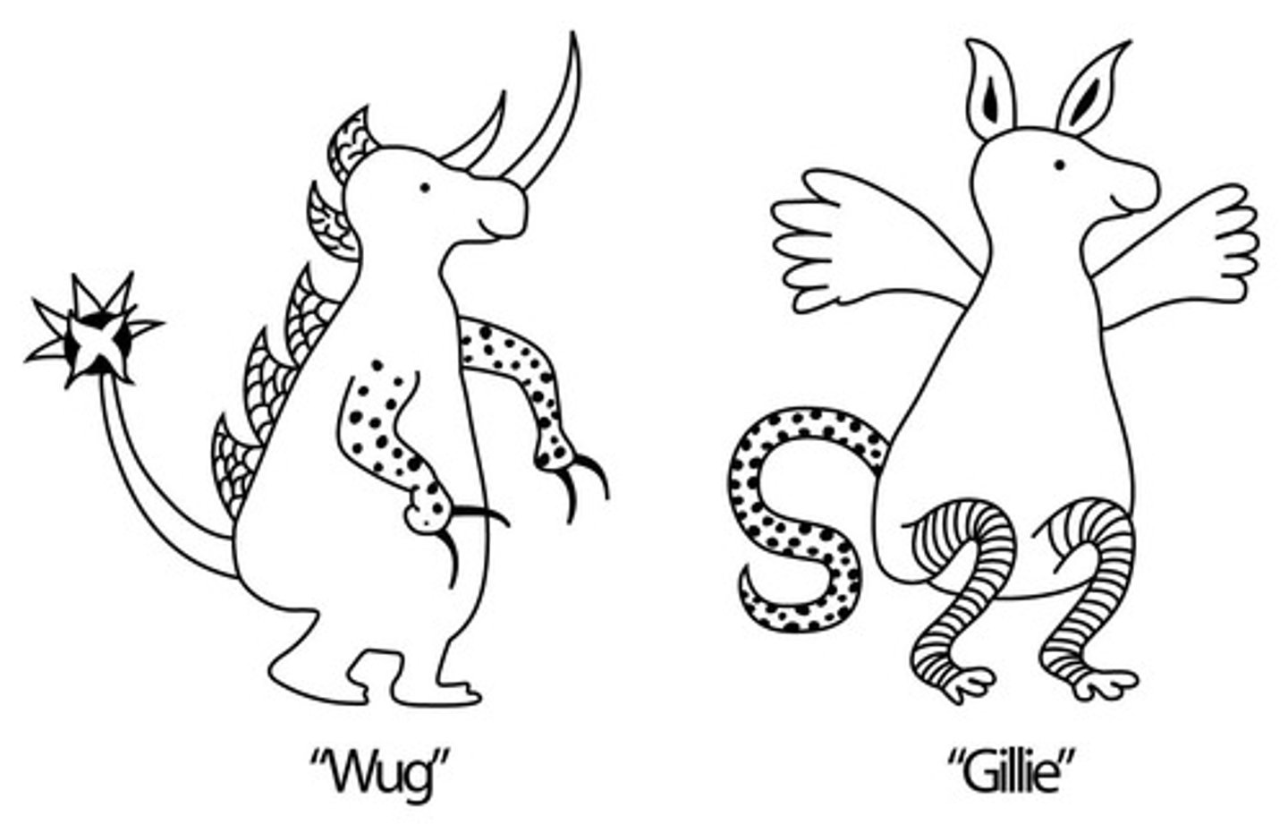 <p>4-5yo children told about two categories of monsters: Wugs (claws, spikes on tail, horns on head, armour on backs) and Gillies (wings, big ears, long tails, long toes), half told just features, other half causal reasons; Children who were told function of features better at categorising.</p>