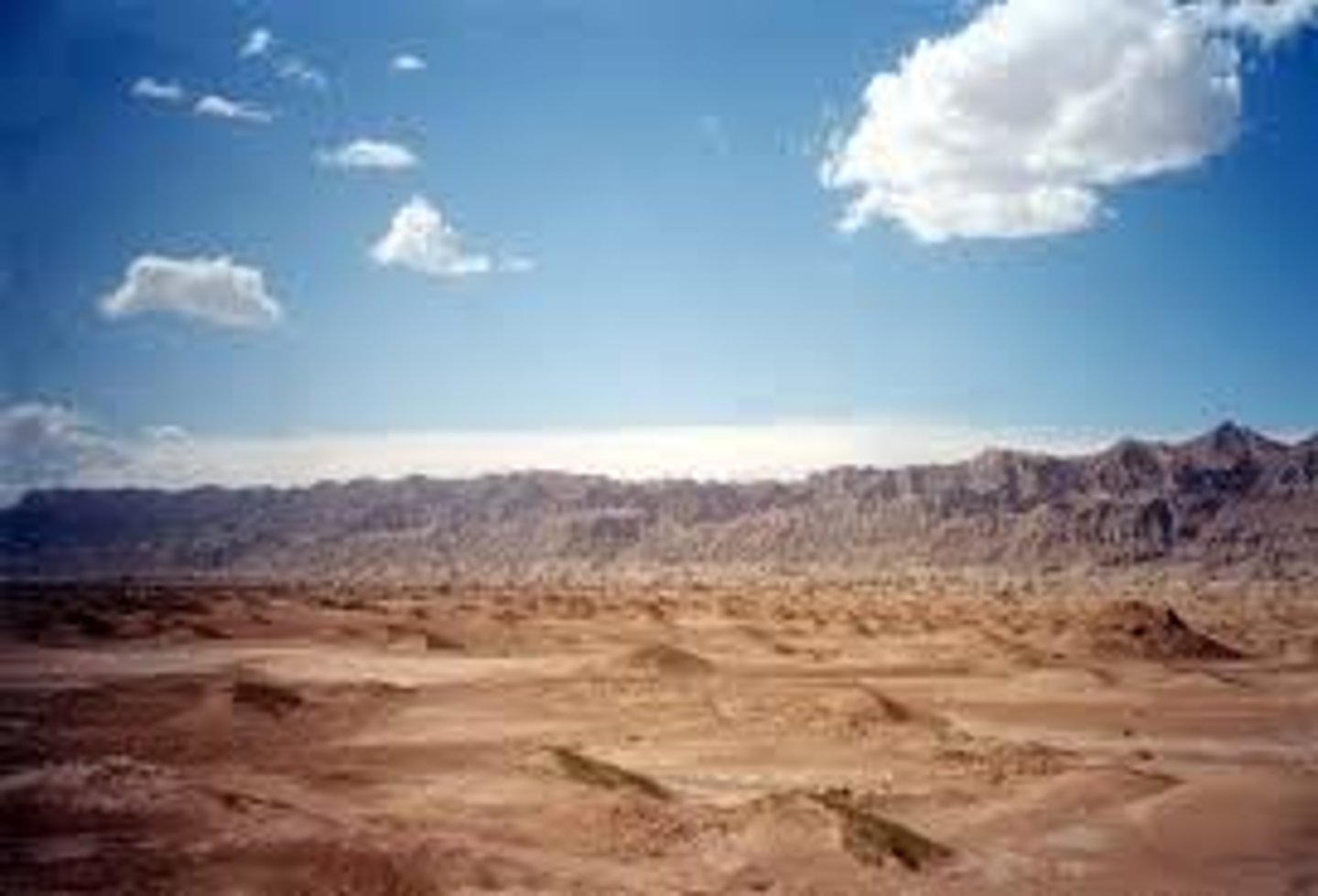 <p>An extremely dry area with little water and few plants</p>