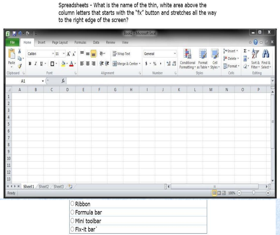 <p>What is the name of the thin, white area above the column letters that starts with the “fx” button and stretches all the way to the right edge of the screen?</p>