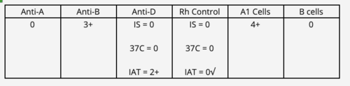 The following results were obtained on a patient workup. Interpret the ABO and Rh type