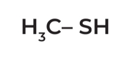 <p>IUPAC Name → Methanethiol</p>
