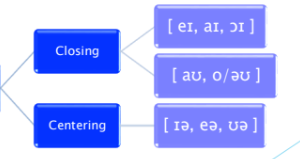 <p>Vowels that change during production.</p>