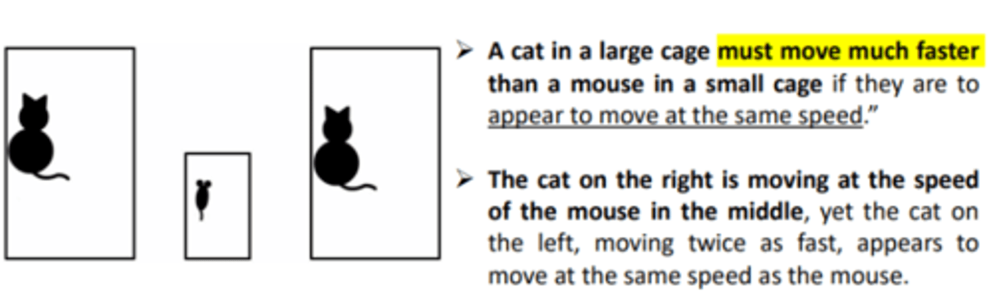 <p>size of an object and size of a reference from through which they move (context) influences the perception of velocity. This effect is known as...</p>