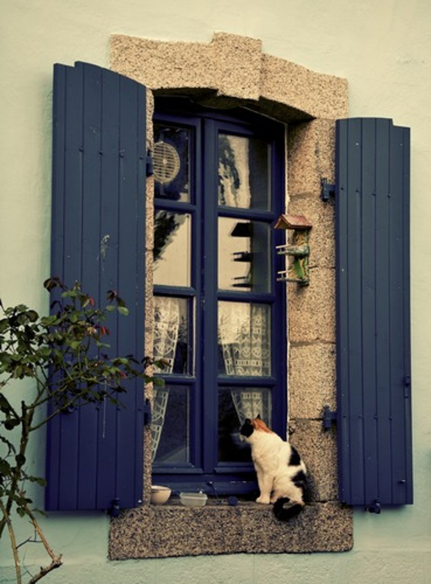 <p>a window</p>