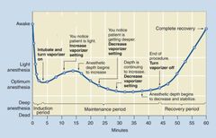 <p>What type of induction agent/maintenance agent does this curve represent?</p>