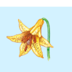 <p>What is this structure of? </p>