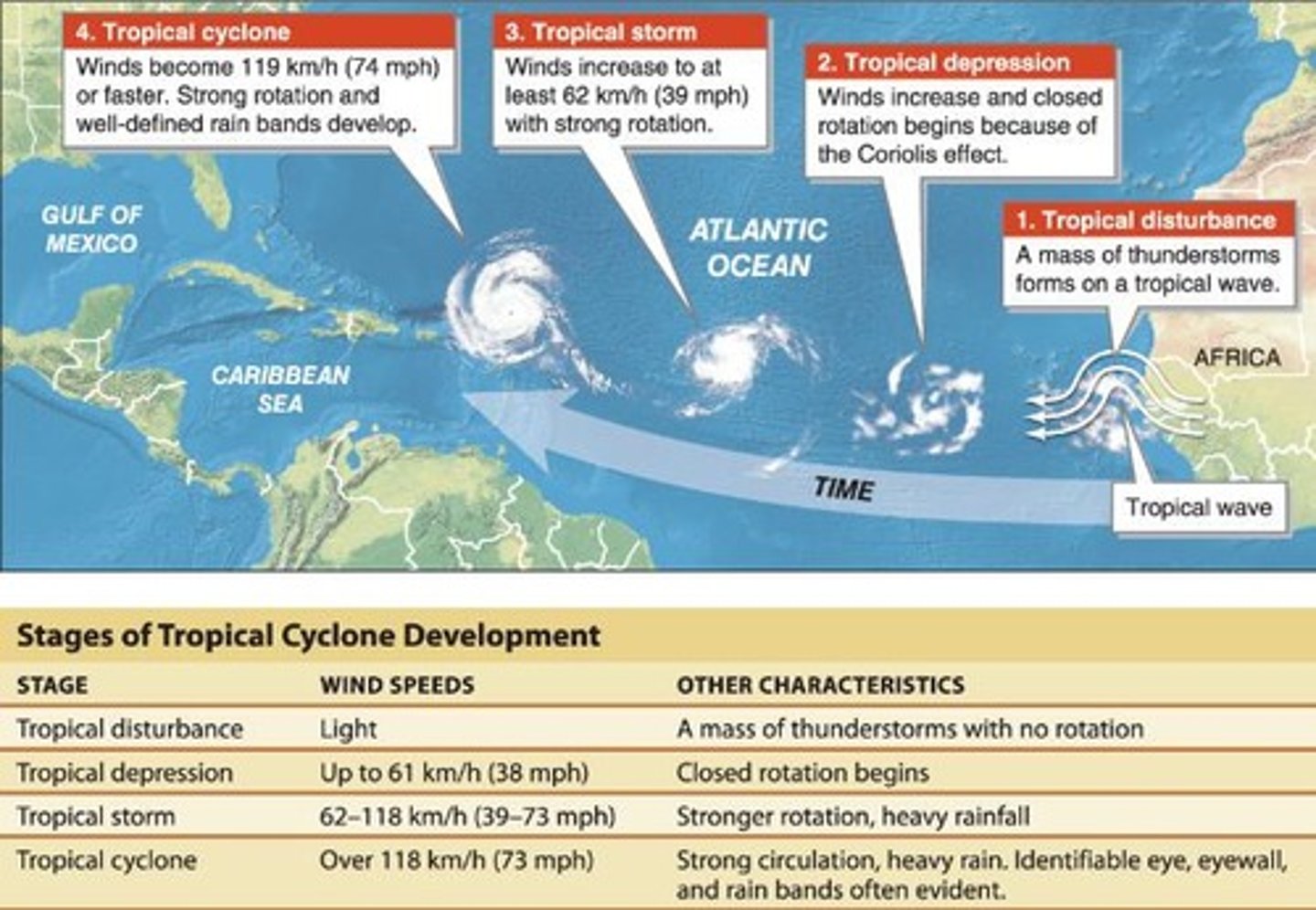 <p>A severe ring of towering thunderstorms with the highest winds and heaviest rain.</p>