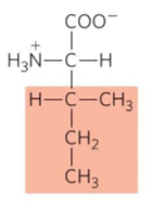 <p>What is this?</p>