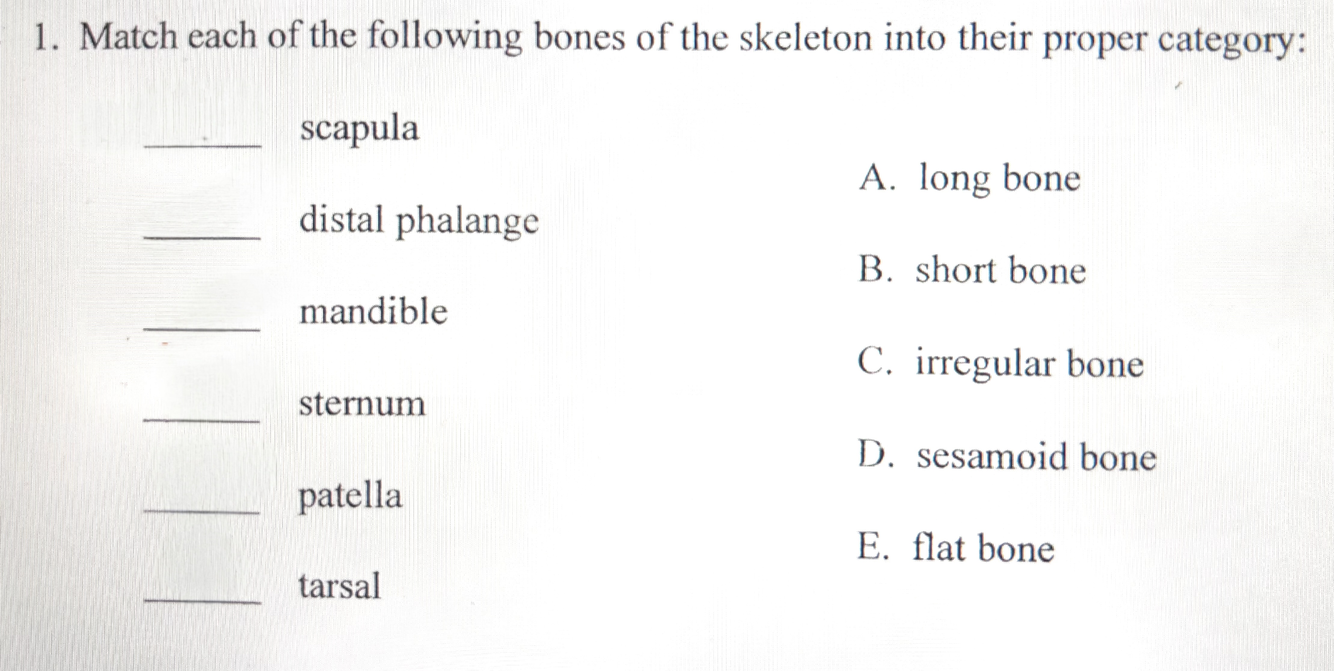 <p>Match each of the following bones of the skeleton into their proper category:</p>