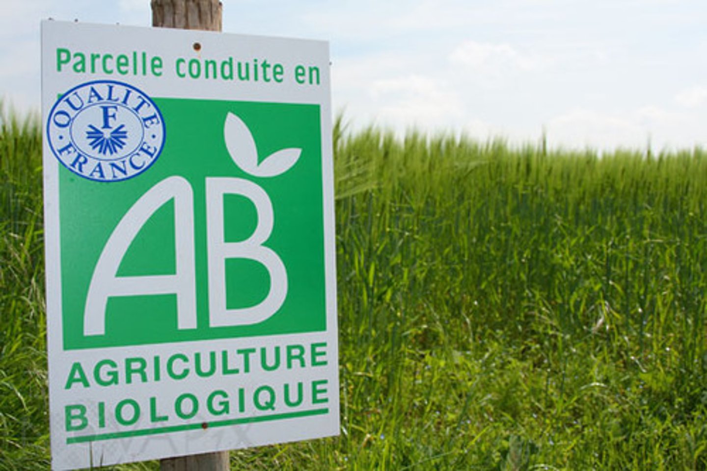 <p>organic farming</p>