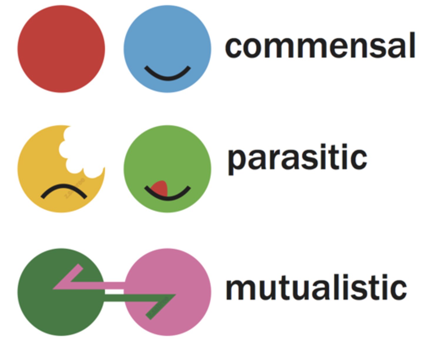 <p>Symbiotic relationships between 2 species</p><p>Mutualism (+, +)</p><p>Parasitism (+, -)</p><p>Commensalism (+, 0)</p><p>Related to: Symbiosis</p><p>Roots: Bi- two, two species</p>