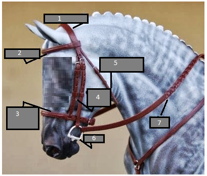 <p>Bridle: Label 5</p>