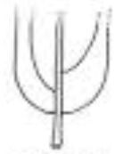 <p>base</p>