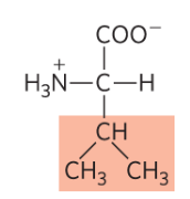 <p>Val, V, nonpolar </p>