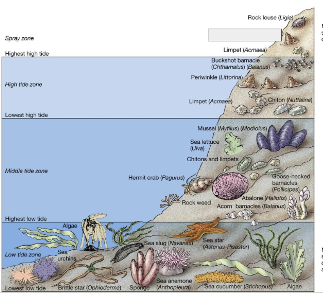 <p><strong>What organism? </strong></p>