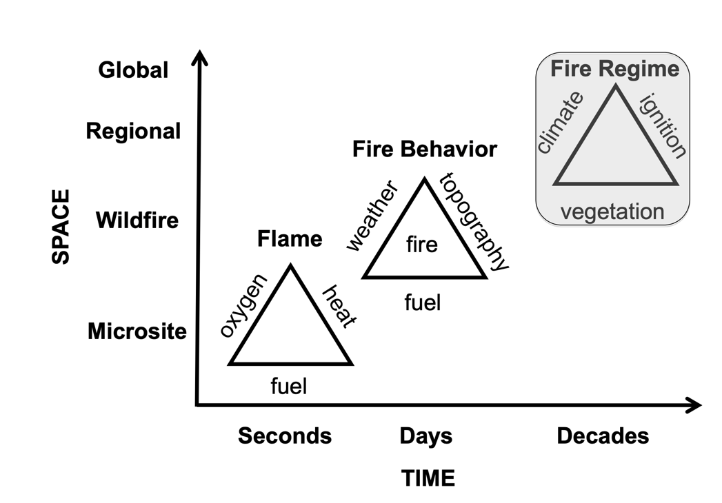 <ol><li><p>Microsite, Seconds (Flame): Heat, Oxygen, Fuel</p></li><li><p>Wildfire, Days (Fire Behavior): Weather, Topography, Fuel</p></li><li><p>Regional/Global, Decades (Fire Regime): Climate, Ignition, Vegetation</p></li></ol>