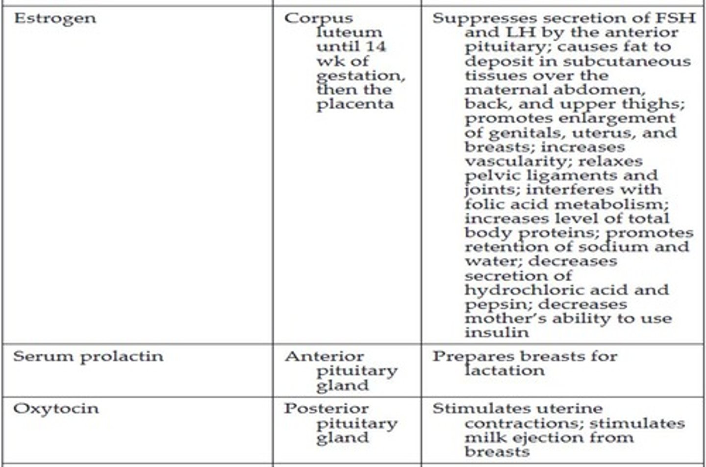 <p>A hormone that plays a key role in pregnancy.</p>