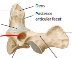 <p>for axis</p>
