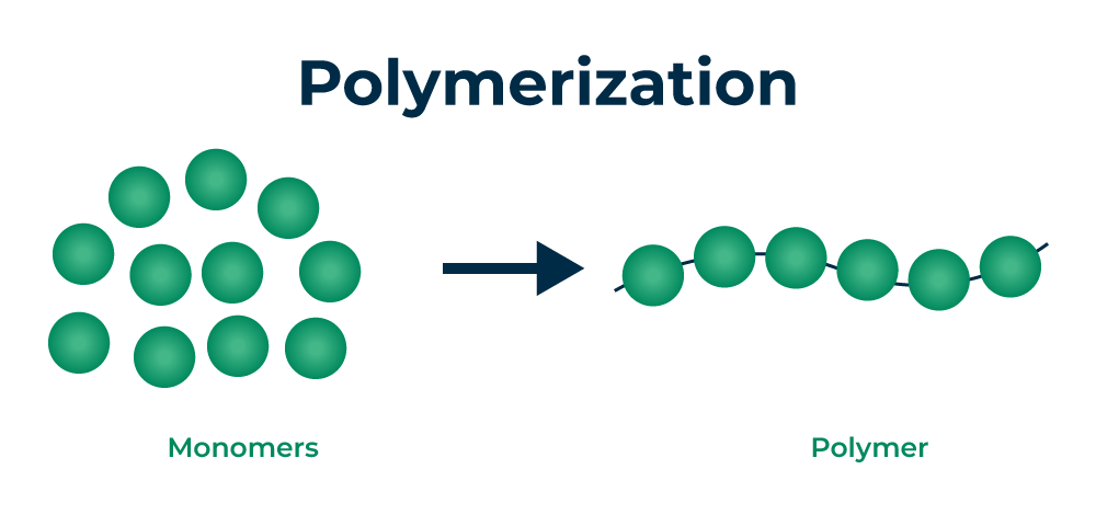 <p>A long molecule consisting of many similar or identical monomers linked together.</p>