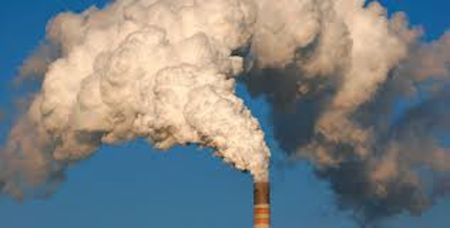 <p>la contaminación</p>
