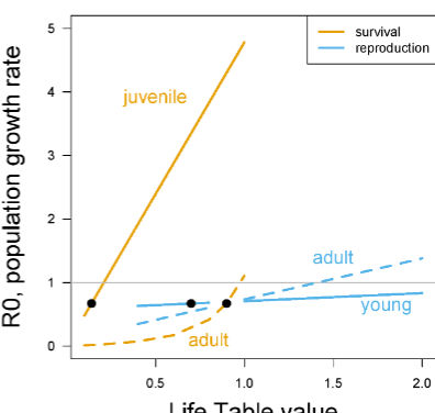 <p>We need R0 greater than 1. So, the only way we could get that would be to increase juvenile survival or to increase adult egg production </p><p><strong>R0 is most sensitive to changes in juvenile survival</strong></p>