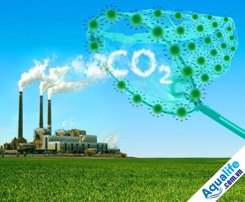 <p><span>the need to limit the amount of greenhouse gases being ________the atmosphere</span></p>