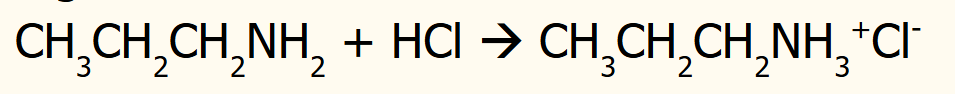 <ul><li><p>ability to accept a proton (H+)</p></li><li><p>have a lone pair of electrons which can accept a proton to form a dative covalent bond</p></li><li><p>able to neutralise acids to make salts</p></li></ul><p></p>