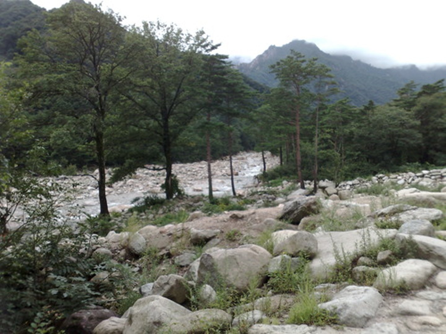 <p>natural features, such as land and water forms, climate, natural plants, and native animals</p>