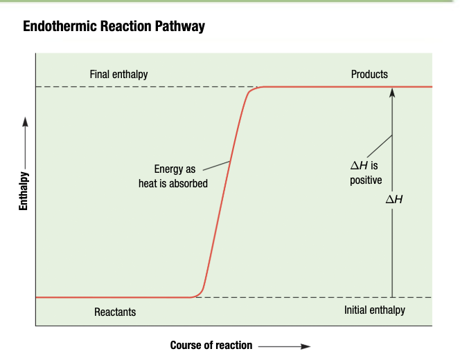 <p>System absorbs energy from surroundings</p>
