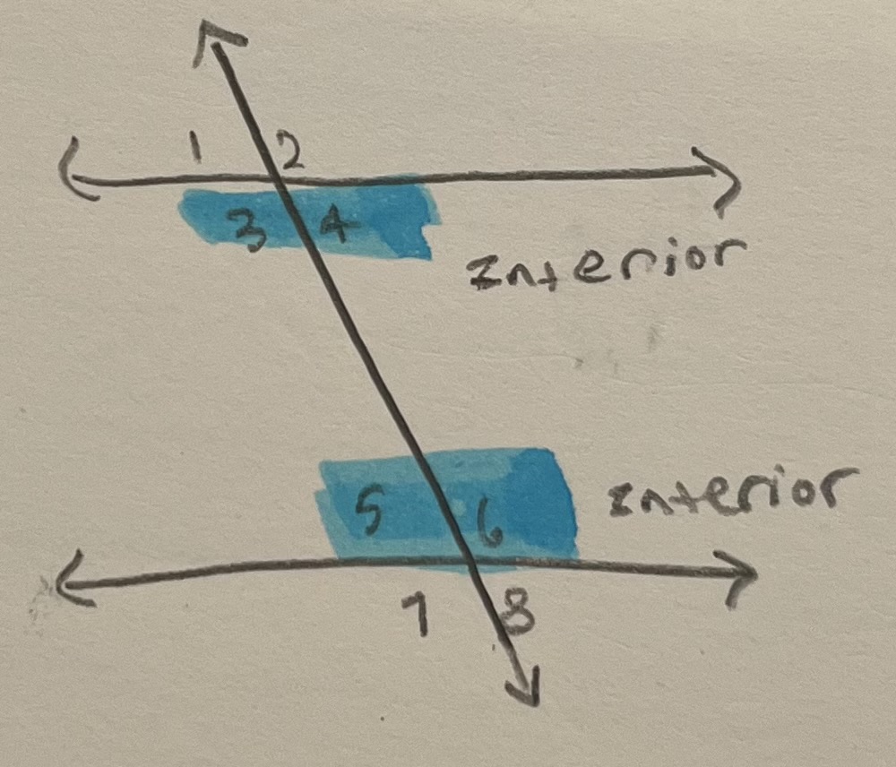<p>2 Angles that are inside of the parallel lines</p>