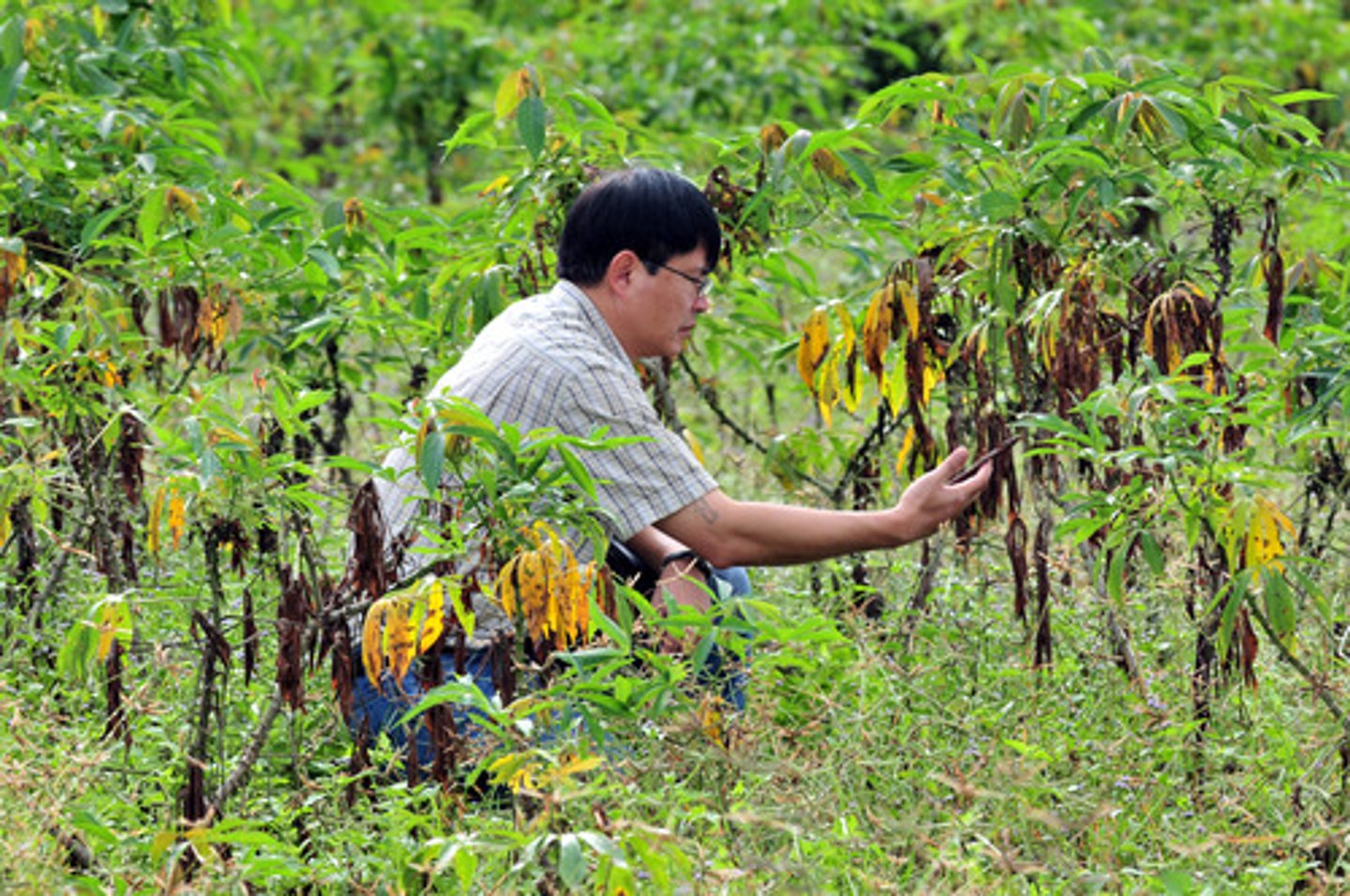 <p>The growing of fruits, vegetables, and flowers.</p>