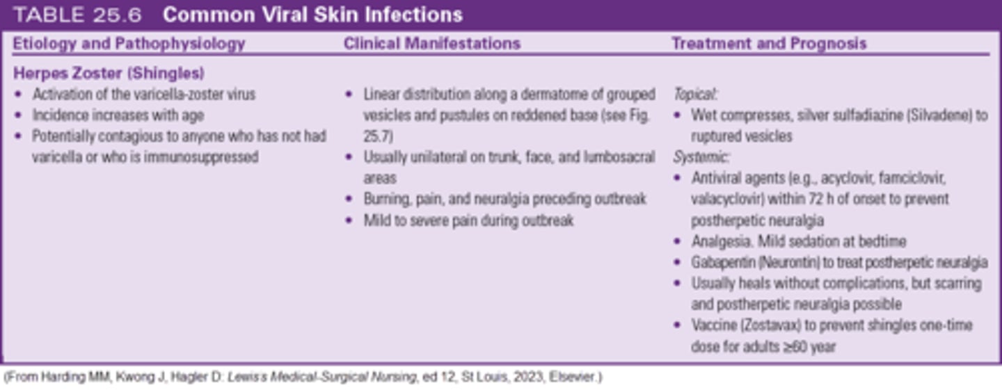 <p>c. Cool, wet dressing</p><p>The application of any form of warmth may increase the sensitivity of nerve endings and worsen the pain. Application of petroleum jelly to lesions is a comfort measure for herpes simplex virus type 1 or 2. Pg 480</p>