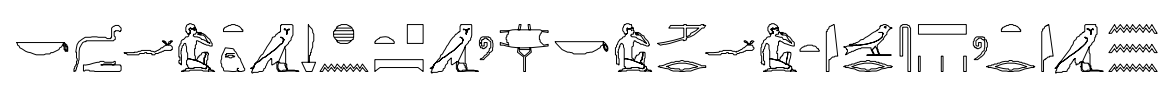 term image