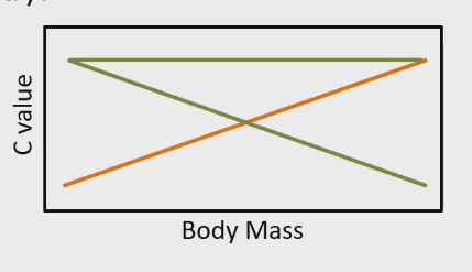<ul><li><p>Positive correlation: Cell hypertrophy (orange line)</p><ul><li><p>Bigger animals get bigger because bigger cells with bigger genome</p></li><li><p>Positive c value slope = cell hypertrophy = b value of 0.67</p></li></ul></li><li><p>Constant or negative correlation : Cell hyperplasia (green line)</p><ul><li><p>Zero/negative c value slope = Cell hyperplasia = b value of 1</p></li></ul></li></ul><p></p>