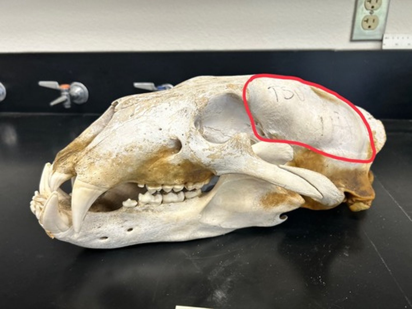 <p>What is this?</p>