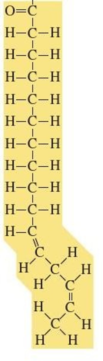 <p>It contains at least one double bond between carbon atoms.</p>