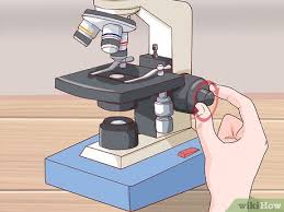 <p>The knob on a microscope used to make small adjustments in focus for more precise viewing of the specimen. </p>