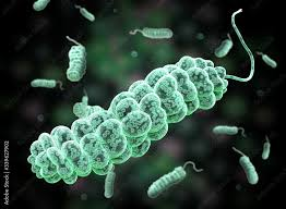 <p>rod with tail(s)</p>