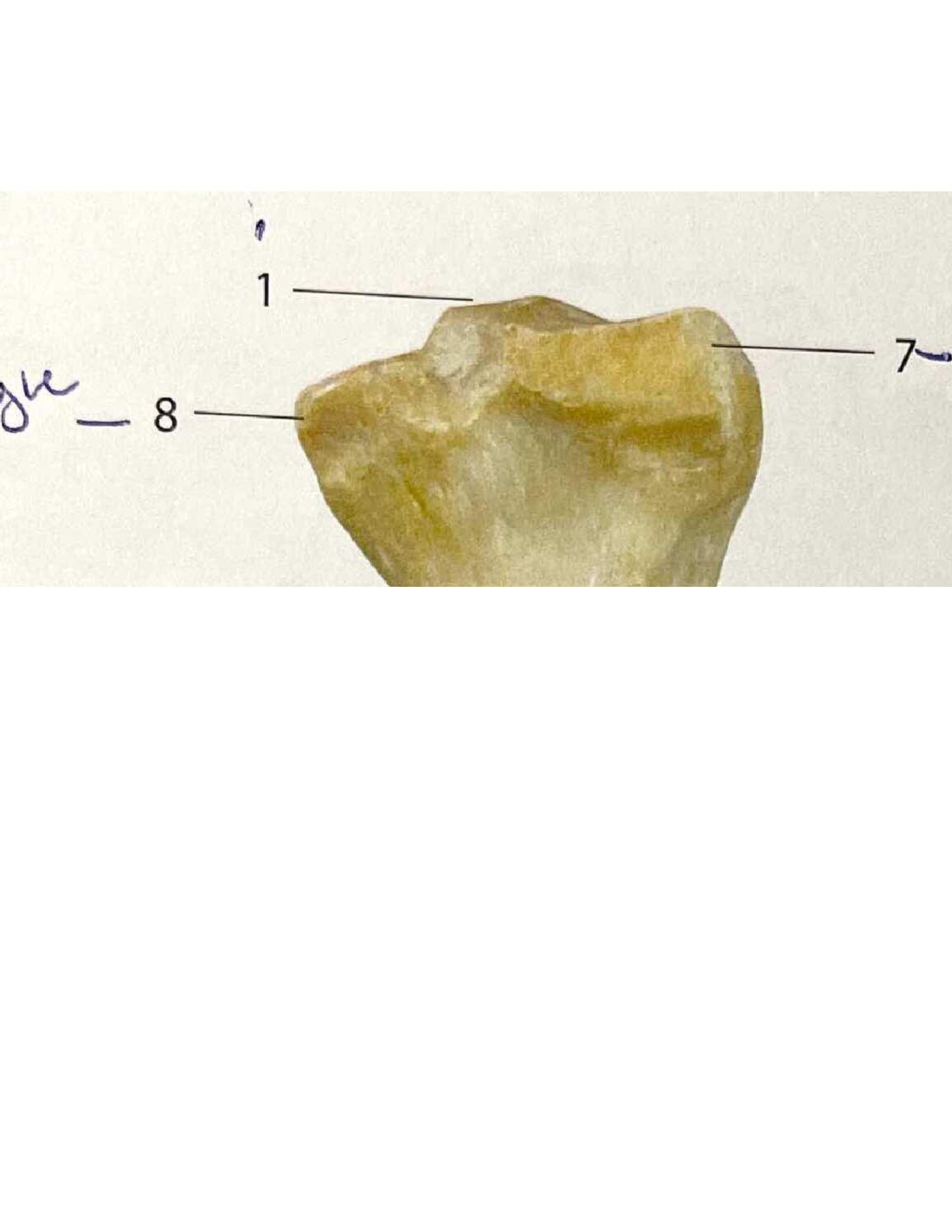 <p>#1</p>