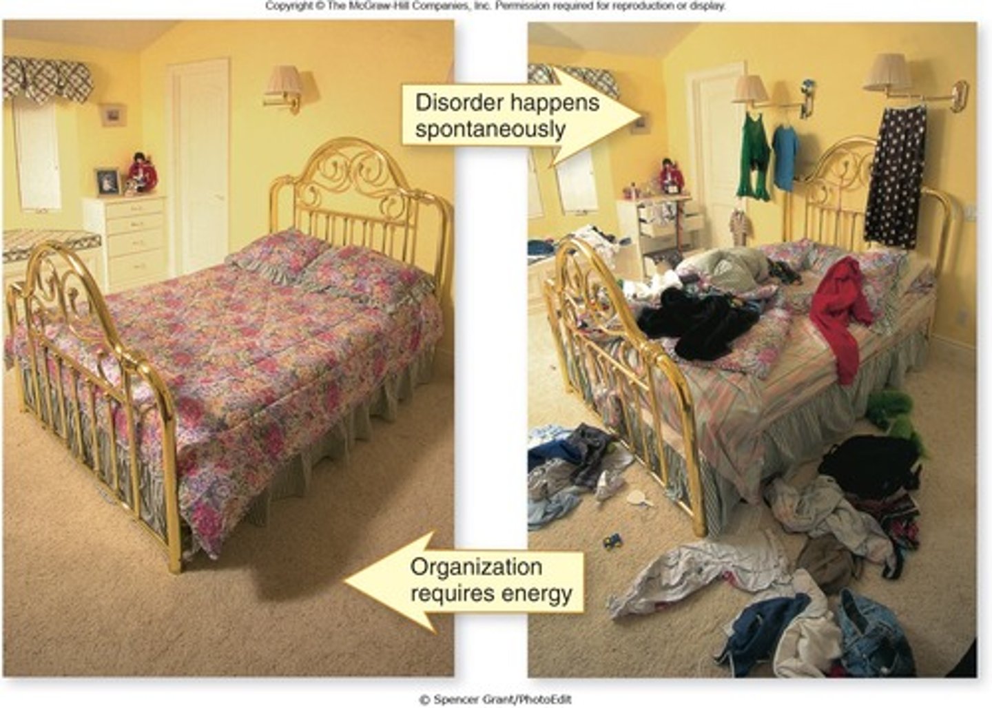 <p>Every energy transfer or transformation increases the entropy of the universe.</p>