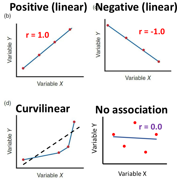 <ul><li><p>linear: positive or negative</p></li><li><p>curvilinear: not a straight line </p></li><li><p>no association</p></li></ul>