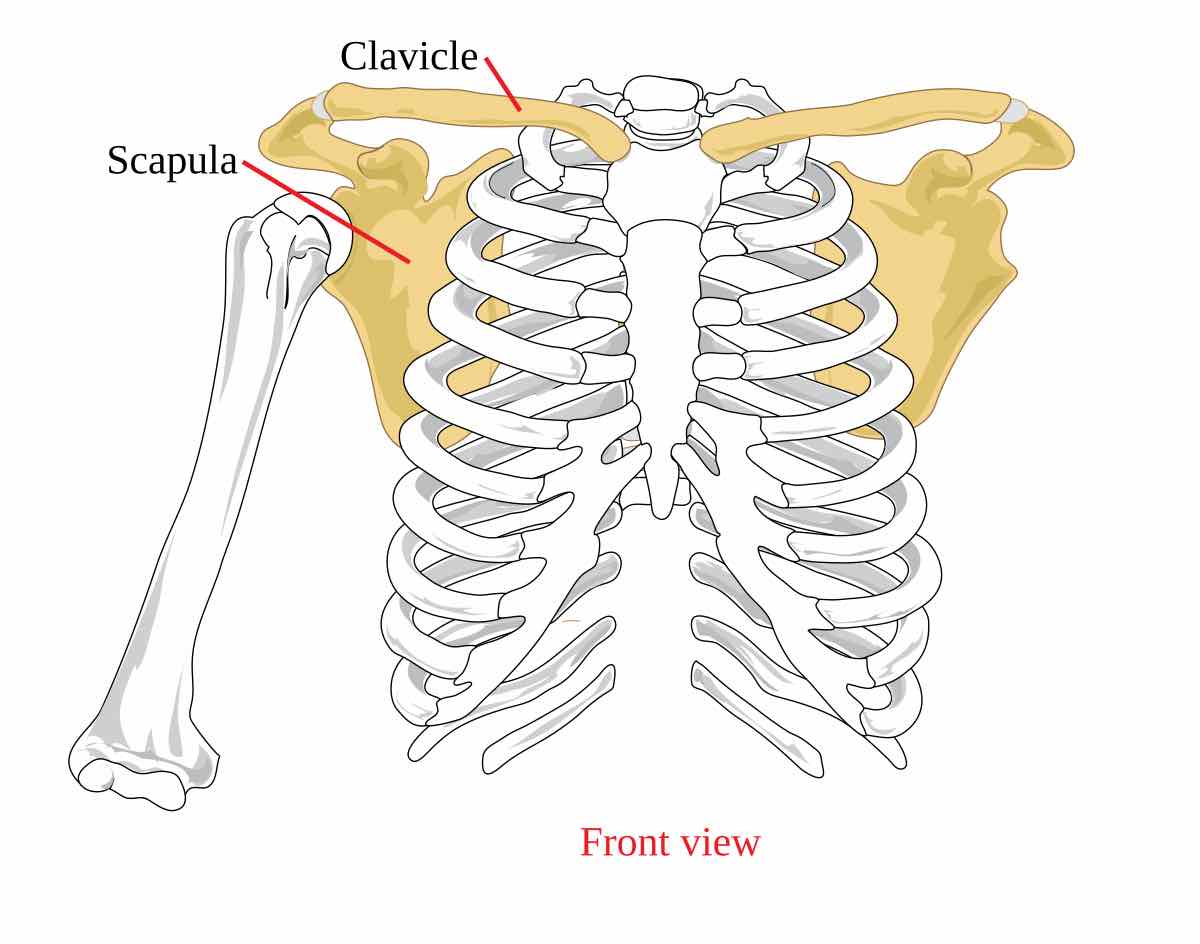 <p>Name this section</p>