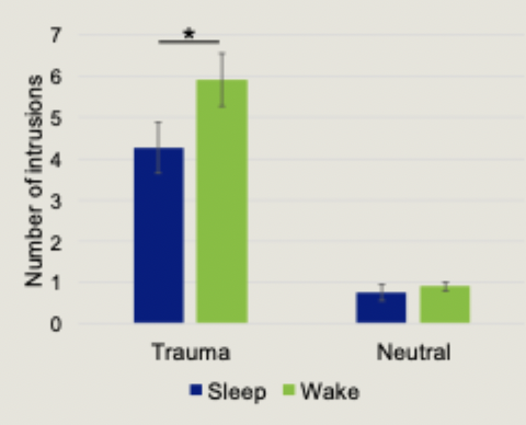 <p>Sleep participants reported fewer intrusions and lower associated distress than wake participants</p><p></p>
